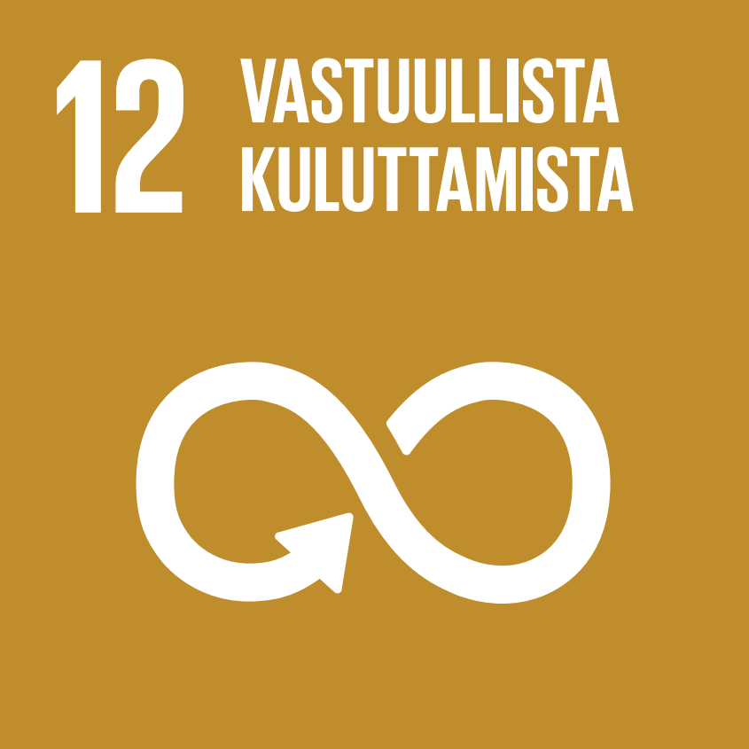 SDG 12 FI.PNG